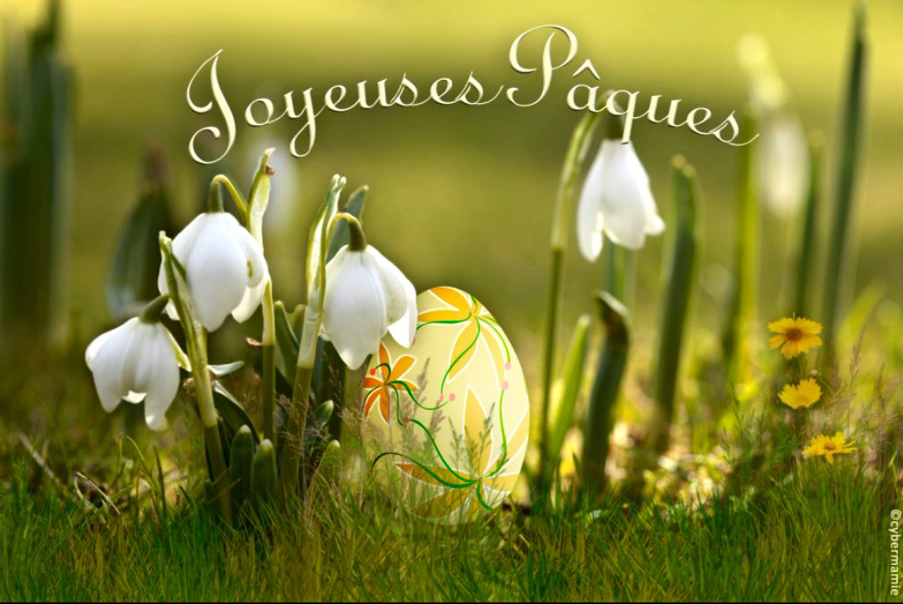 Cartes virtuelles animées gratuites Pâques - joyeuses paques