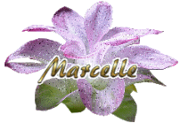 marcelle